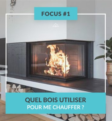 FOCUS #1 Quel bois utiliser pour me chauffer ?